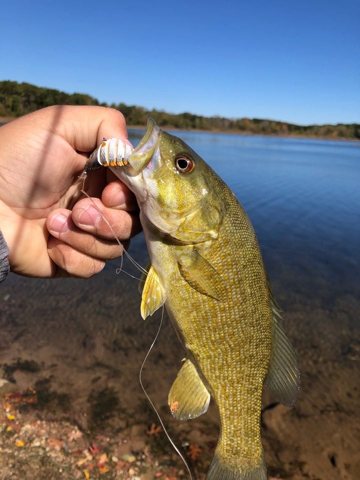 ANSUELO DE PEZ PARA PESCA X4 UND