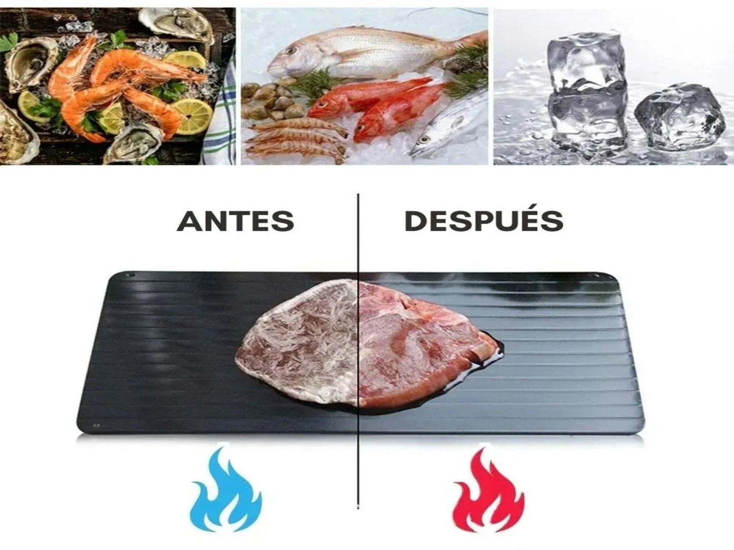 BANDEJA DE DESCONGELACIÓN