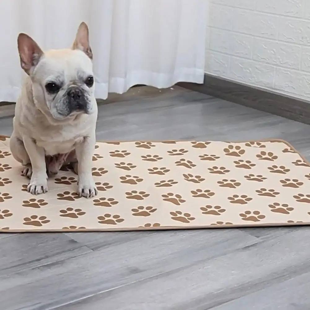 ALFOMBRA PARA PERROS